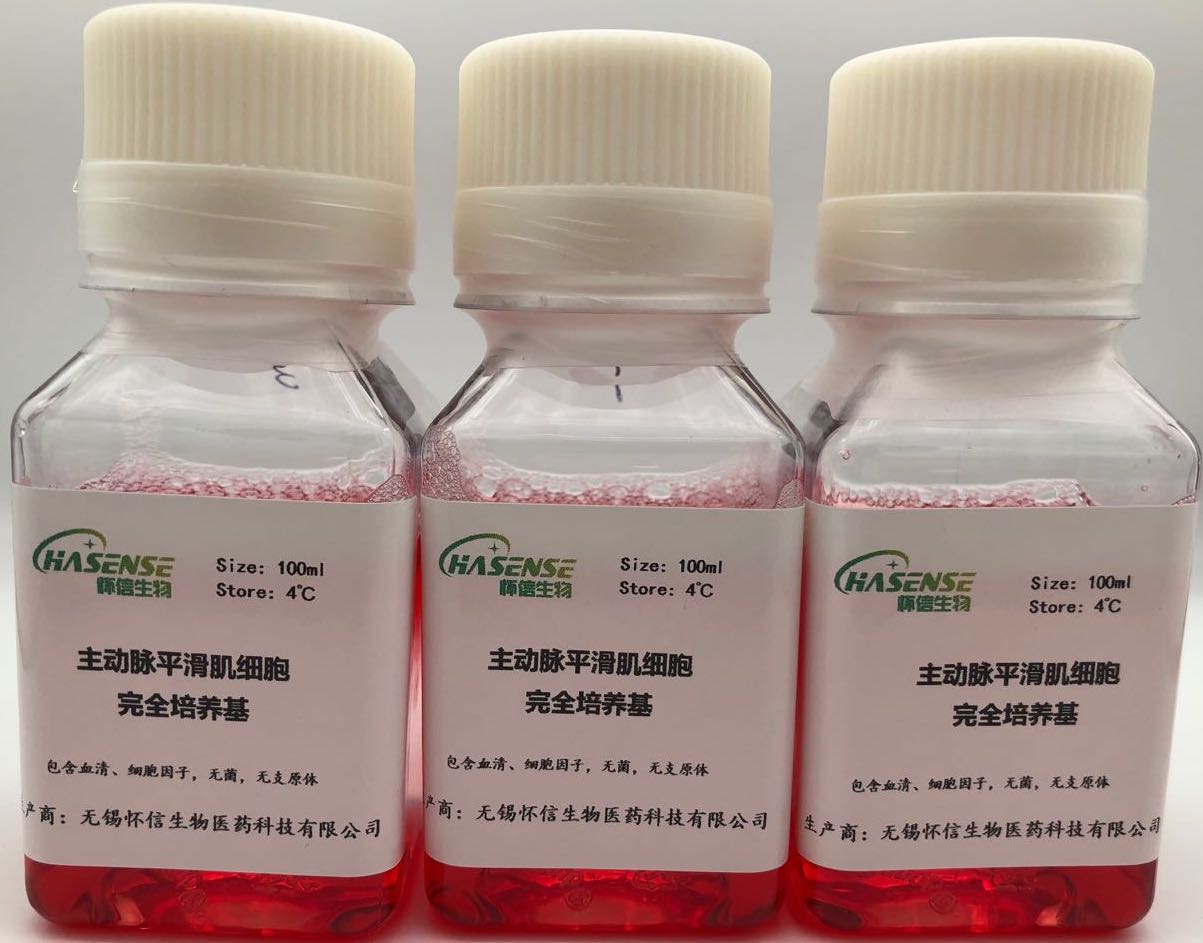 內皮細胞完全培養基